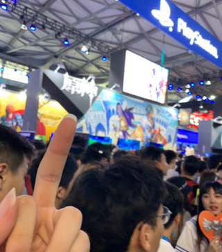 Illustration for article titled Zelda Fans Protest, Smash PS4 Over Very Similar Chinese Game